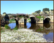 Pont Urrietas